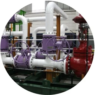 GAS METERING & PRESSURE REGULATING SKIDS